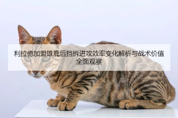 利拉德加盟雄鹿后挡拆进攻效率变化解析与战术价值全面观察