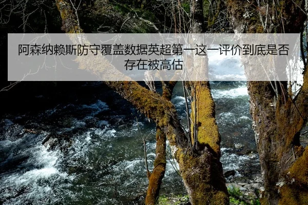 阿森纳赖斯防守覆盖数据英超第一这一评价到底是否存在被高估