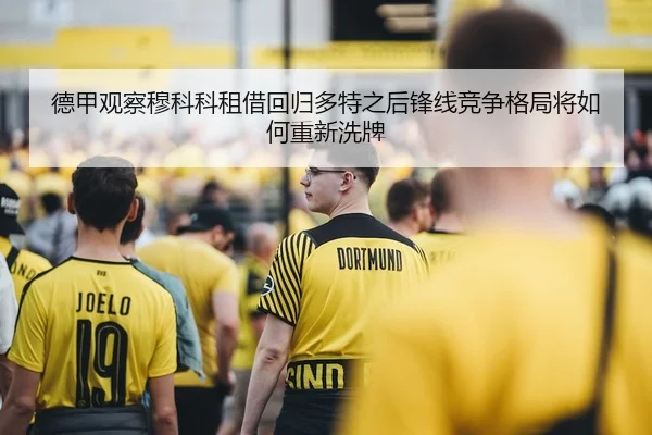 德甲观察穆科科租借回归多特之后锋线竞争格局将如何重新洗牌
